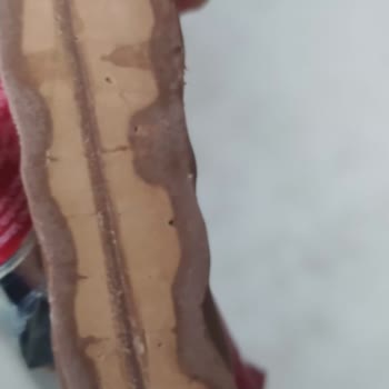 Rengi Değişen Tadelle Çikolatası Bozulmuş Görünüyor