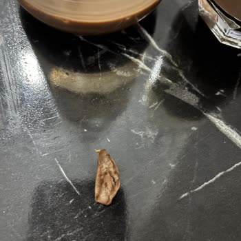 BİM Dost Çikolatalı Sütte Yabancı Cisim Ve Sağlık Endişesi