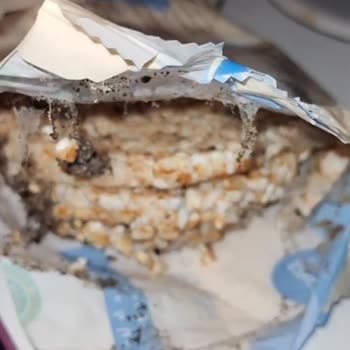 Son Kullanma Tarihi Geçmemiş Patlakta Küf Ve Pamukçuk