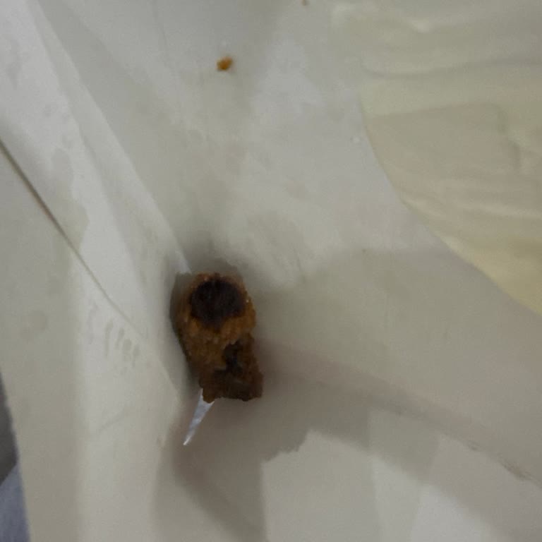 Siparişte Eksik Soslar, Yanlış İçecek Ve Bozuk Marul