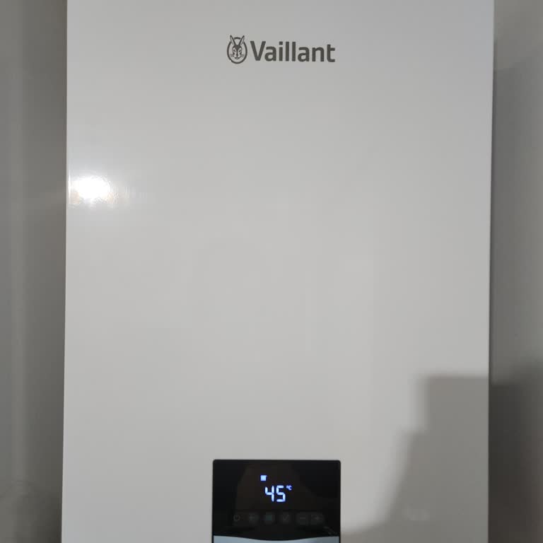 Patlayıcı Sesli Vaillant Ecotec Kombi Değişimi Talebi