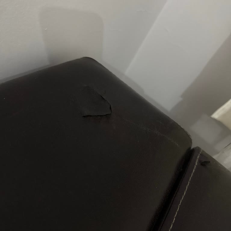 Musa Nakliyat’ın Saygısız Davranışı Ve Eşya Zararlarıyla Anlaşma Dışı Ücret Talepleri