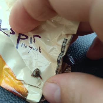 Erzurum A101'den Kekspır'da Dikenli Cisim Bulunması Güvenimi Sarstı