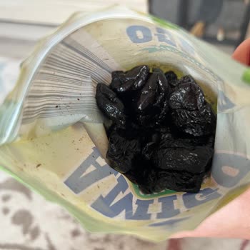 Şok Marketten Gelen Küflü Kuru Kayısı Ve Erik Ürünleri Sağlık Riski Oluşturuyor