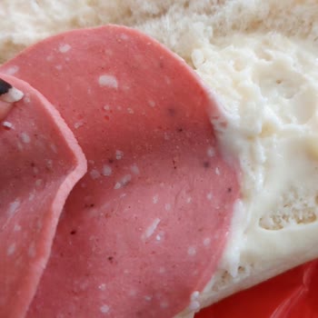 Dardanel Sandviçte Küflü Salam, Sağlık Riski