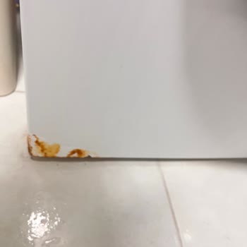 Beko Çamaşır Makinesindeki Paslanma Ve Gürültü İçin Ücretsiz Onarım Talebi