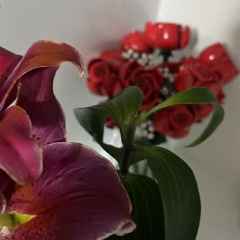 Gönderilen Çiçek Görseliyle Farklı Ve Hızlı Soldu, Yeniden Gönderim Talebi