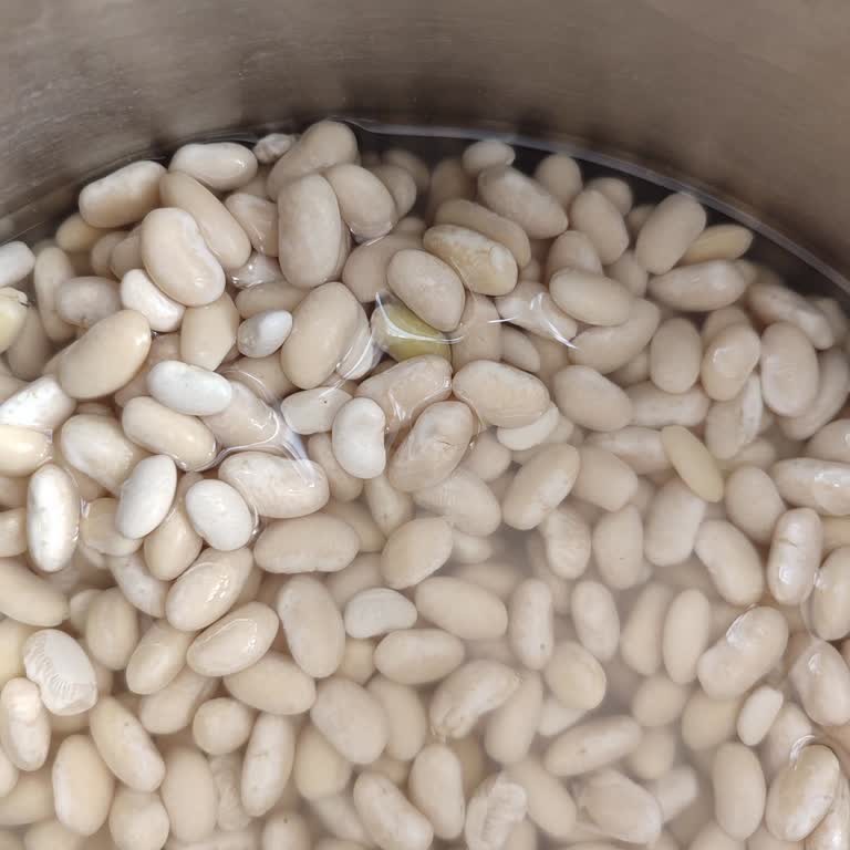 Anadolu Mutfağı Fasulyesinde Düzensiz Su Çekimi Ve Sert Kalan Ürün