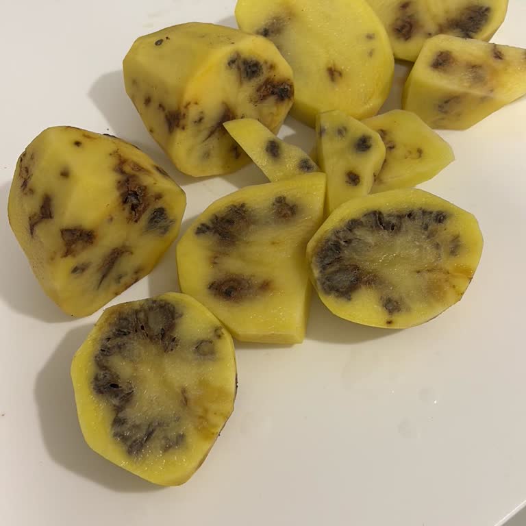 Şok Market'te Çürük Patates Satışı