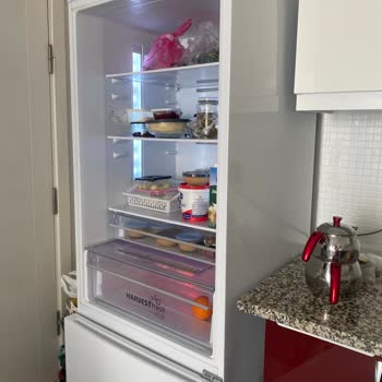 Sesli Buzdolabı Şikayetimi Servis Kapağı Kırdı, Kapı Düşerek Sorunu Büyüttü