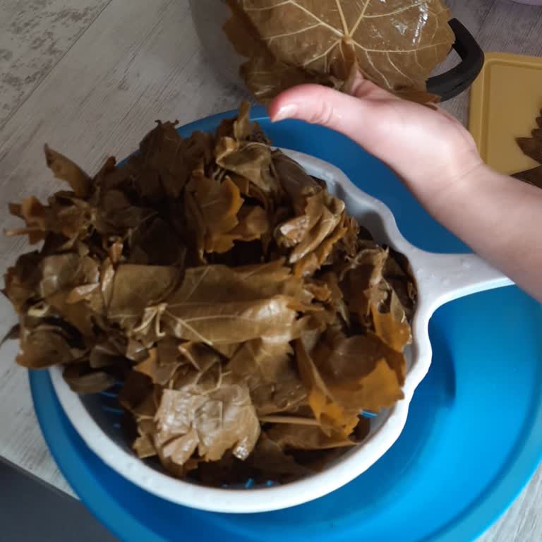 Enfes Ev Lezzetleri Yanıltıcı Görseller Ve Koyu Renkli Yapraklar