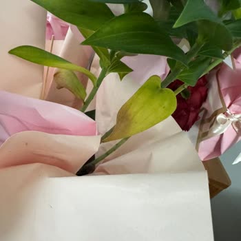 Çiçek Sepeti'nden Soluk Çiçek Ve Yetersiz Telafi İadesi Talebi