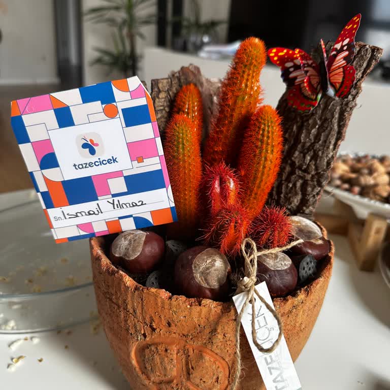 Yanıltıcı Görsel Ve Saygısız Müşteri Hizmetleri Nedeniyle Para İadesi Talebi