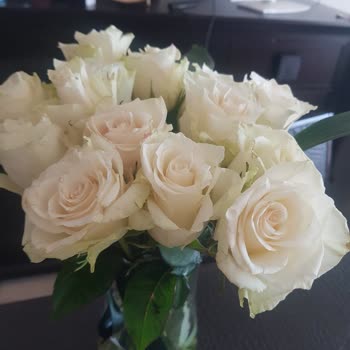 Solmuş Güller Teslim Edildi Ve Kurye Açıklama Sunmadı