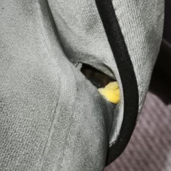 Kırılan Sandalyeler Ve Uzayan Değişim Süreci