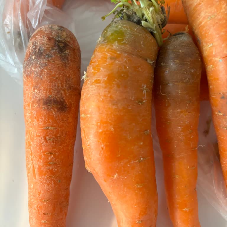 Teslimat Ücreti Alınan Sürekli Sipariş İptalleri Ve Bozuk Ürün Şikayeti