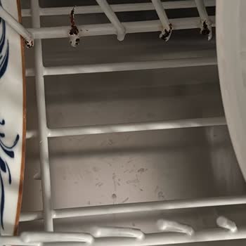 Miele Bulaşık Makinesinde Sepetlerde Paslanma Ve Kopma Sorunu