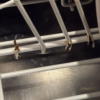 Miele Bulaşık Makinesinde Sepetlerde Paslanma Ve Kopma Sorunu