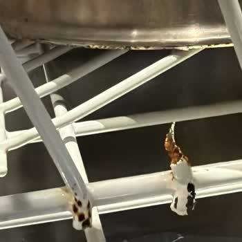 Miele Bulaşık Makinesinde Sepetlerde Paslanma Ve Kopma Sorunu