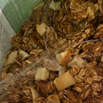 Fropie Granola Paketi İçinde Canlı Larvalar Ve Hijyen Sorunu, İade Süresi Nedeniyle İade Reddedildi