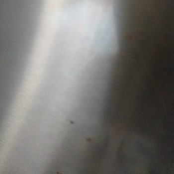 Profilo Inox Buzdolabında Paslanma Ve İç Aydınlatma Arızaları, Tam Değişim Talebi!