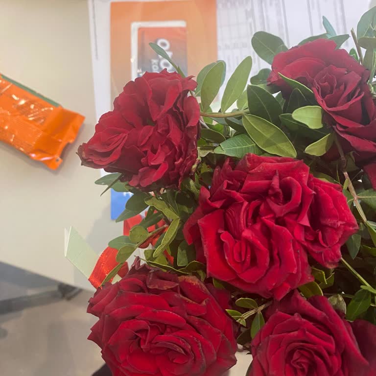 Solmuş Çiçekler Nedeniyle Ücret İadesi Talebi