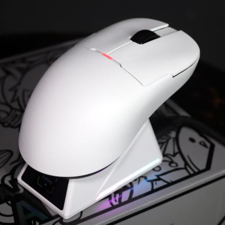 Beast Espor Mağduriyetimin Giderilmesini İstiyorum