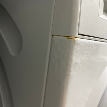 Bosch Serie 4 Deterjan Haznesi Boya Soyulması İçin Ücretsiz Parça Değişimi Talebi