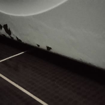 Bosch Çamaşır Makinesinde Kısa Sürede Paslanma Ve Çürüme, Garanti Sonrası Yüksek Tamir Ücretleri