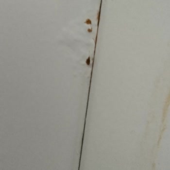 Bosch Çamaşır Makinesinde Kısa Sürede Paslanma Ve Çürüme, Garanti Sonrası Yüksek Tamir Ücretleri