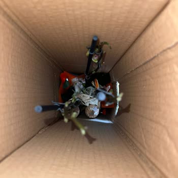 Orkide Çiçeği Bozuk Teslim Edildi, Ücret İadesi Bekleniyor