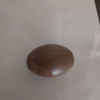 Bolçi Bayat Ürün Gönderilmesi