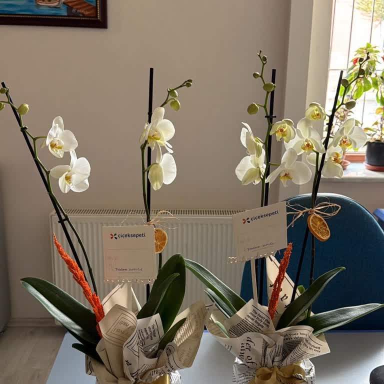 Çifte Ödeme Ve Onaysız Çiçek Gönderimi