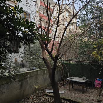 İzinsiz Fiber Kablo Çekilmesi Ve Mülkiyet İhlali