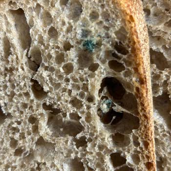 Ekmekte Yabancı Madde Tespiti Sağlık Ve Hijyen Açısından Acil İnceleme Talebi