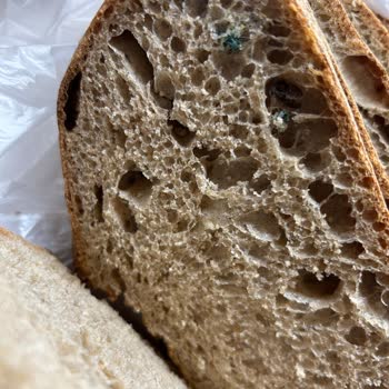 Ekmekte Yabancı Madde Tespiti Sağlık Ve Hijyen Açısından Acil İnceleme Talebi