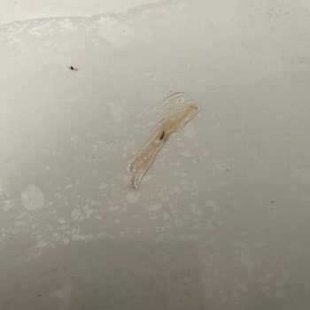 Dr. Oetker Toz Sosunda Metal Parça Çıktı Ve Çocuk Sağlığı Tehlikede