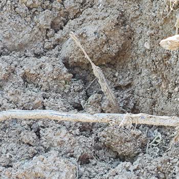 Acil Elektrik Kesintisi Hastamızın Sağlığını Tehdit Ediyor