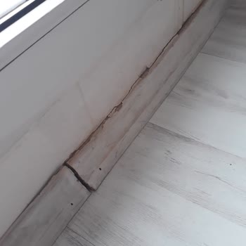 Zurich Sigorta Yetersiz Tesisat Ve Devam Eden Su Sızıntısı!