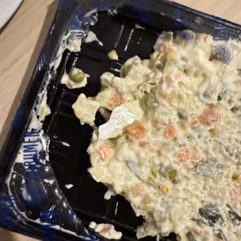 Gürmen Amerikan Salatasında Plastik Parça: Gıda Güvenliği İhlali