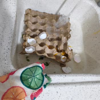 Kırık Yumurtalar İçin Ücret İadesi Ve Mağaza İletişim Eksikliği