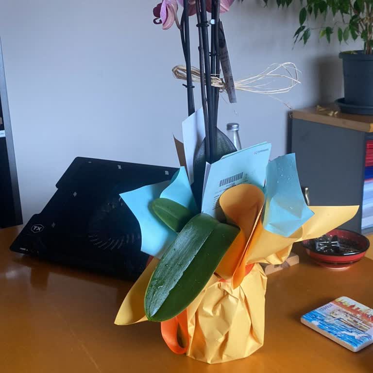 Ateş Kırmızı Orkide Yerine Lila Çiçek Gönderildi Ve Özür Bekleniyor