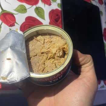 A101'de İndirimli Dardanel Ton Balığı Bozulmuş, İade Bekliyor