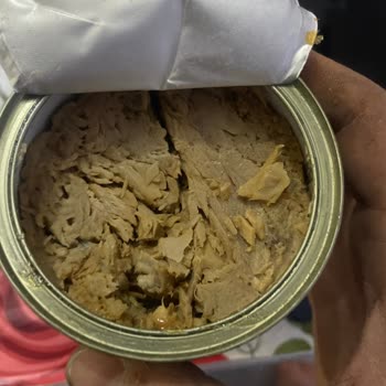 A101'de İndirimli Dardanel Ton Balığı Bozulmuş, İade Bekliyor