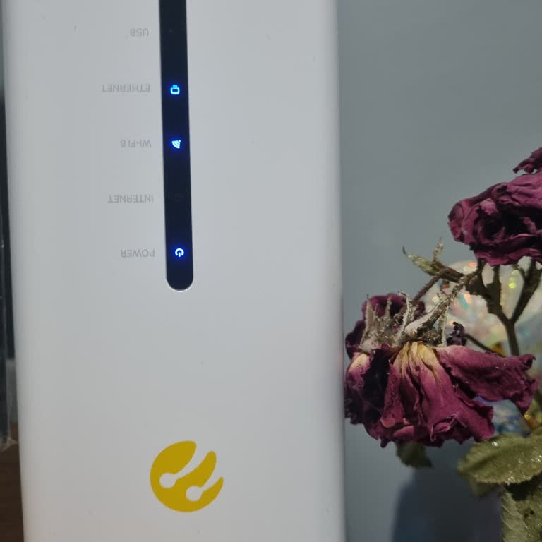 Superonline Port Hatası Nedeniyle İnternetsiz Kalma Ve Maaş Kesintisi