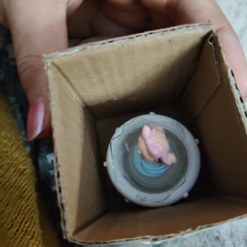 Açık Kutu Ve Deforme Ambalajda Satılan Kar Küresi Kırıldı, Mağaza İlgisizliği