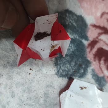 Ülker Napoliten Çikolatasında Kurt Tespiti Ve Hijyen Sorunu