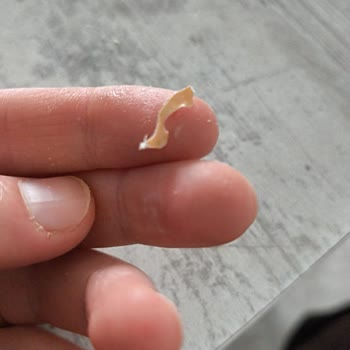 Pakel Gıda Çocuk Çikolatasında Kağıt Parçası Çıktı Üreticiden Açıklama Talebi