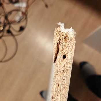 Teslim Edilen Ayakkabılık Kırık Geldi, DHL Destek Oyalıyor