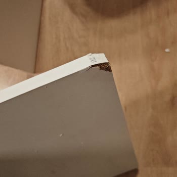 Teslim Edilen Ayakkabılık Kırık Geldi, DHL Destek Oyalıyor